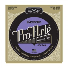 d'addario-exp44